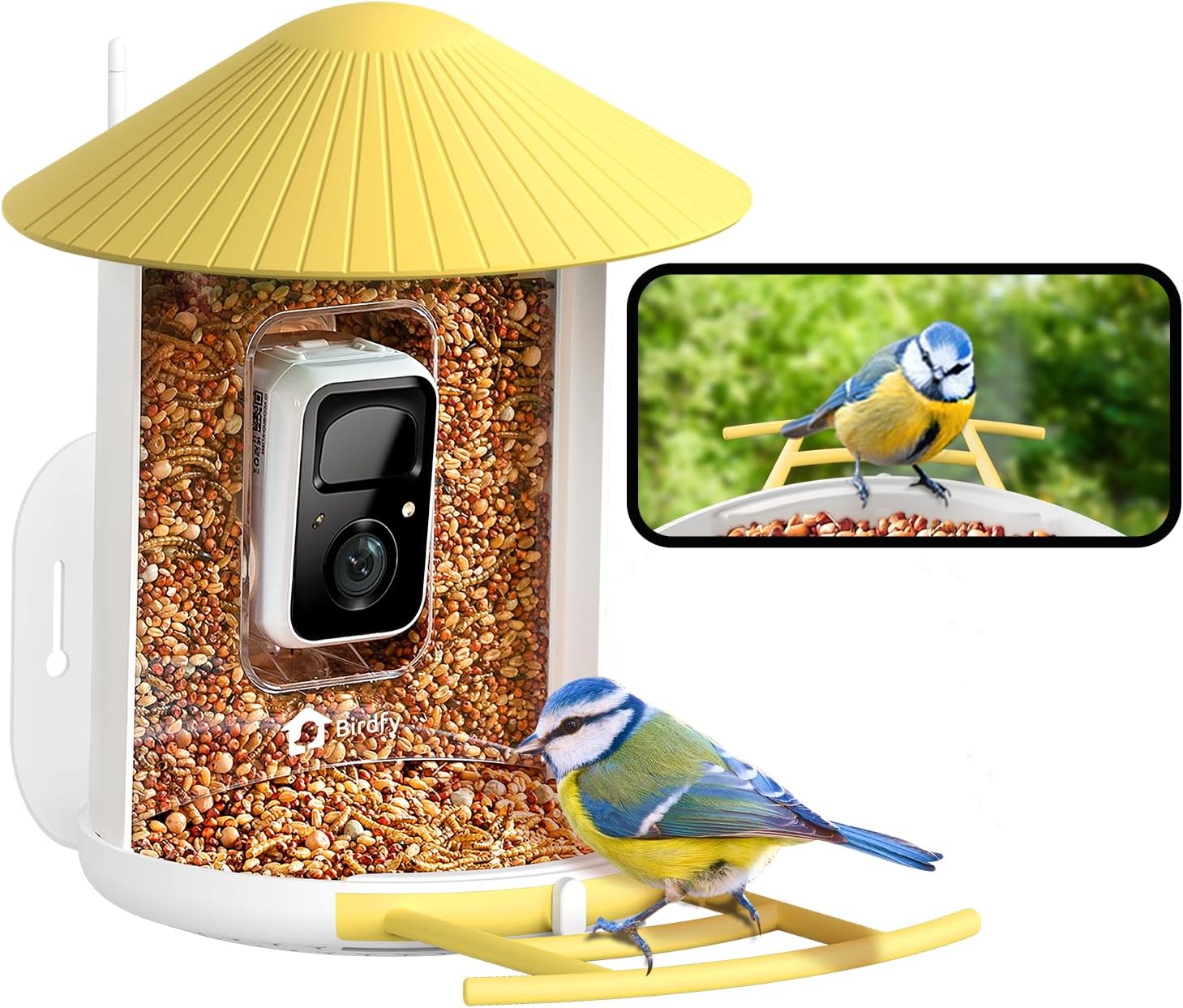 Birdfy, mangiatoia per uccelli con fotocamera. Fotografia ufficiale del prodotto.